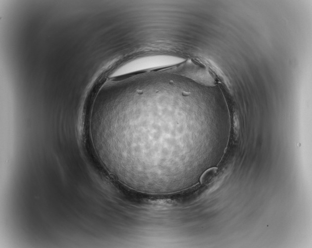 X0000096970396200802221407