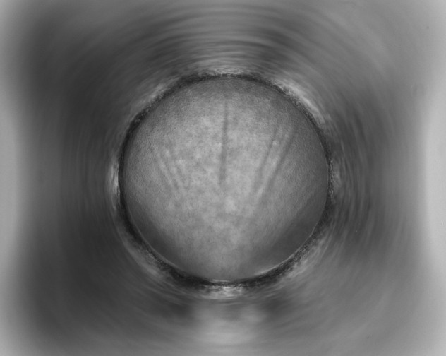 X0000096970398200802221407