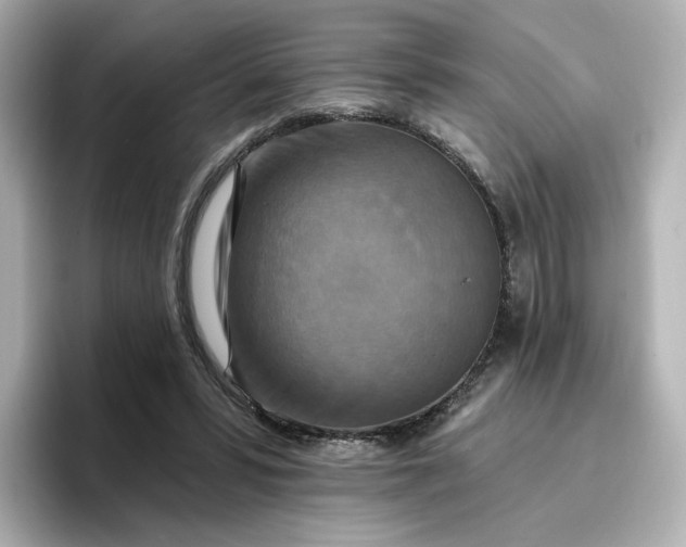 X0000096970399200802221407