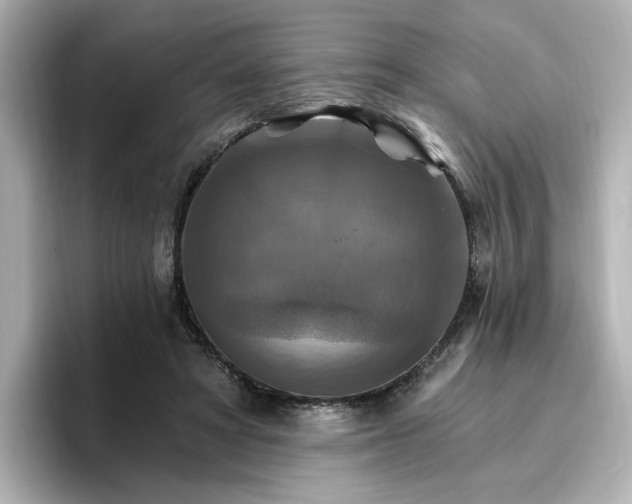 X0000096970402200802221407