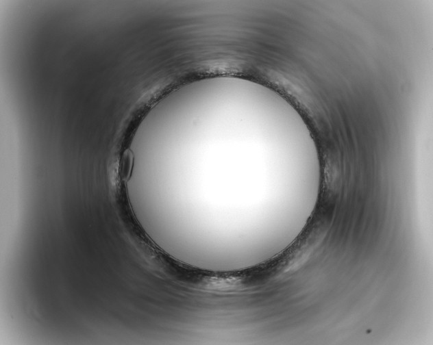 X0000096970403200802221407