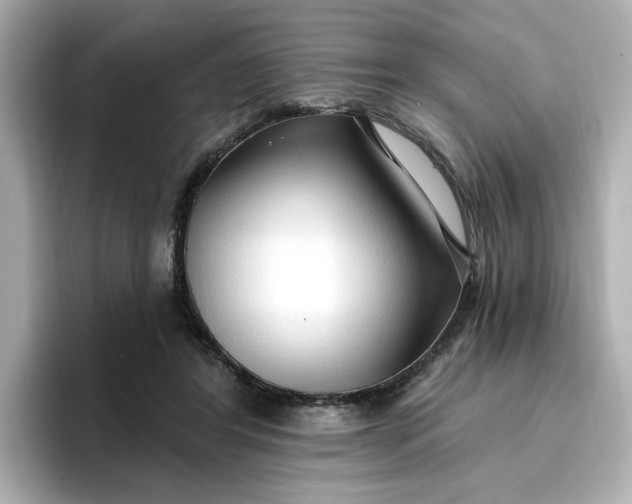 X0000096970404200802221407