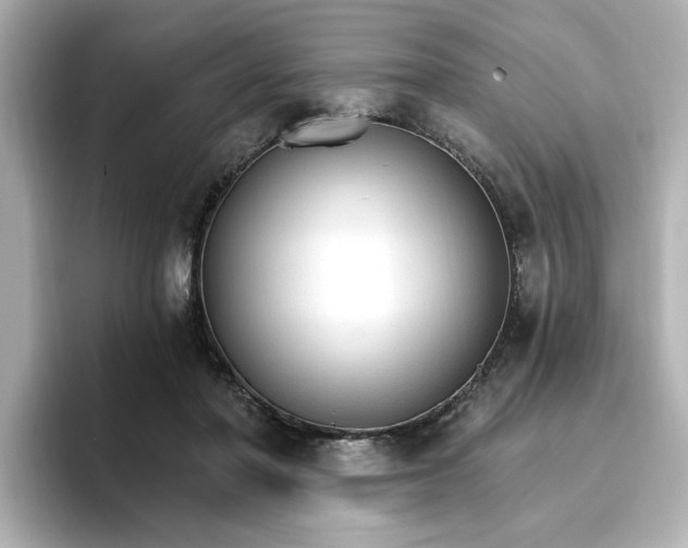 X0000096970406200802221407