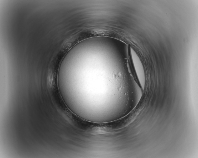 X0000096970408200802221407