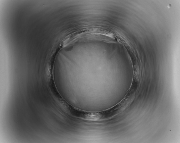 X0000096970410200802221407