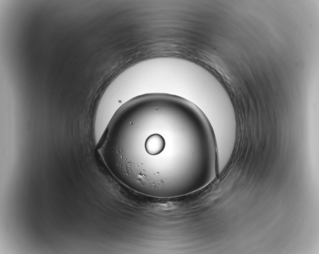 X0000096970411200802221407