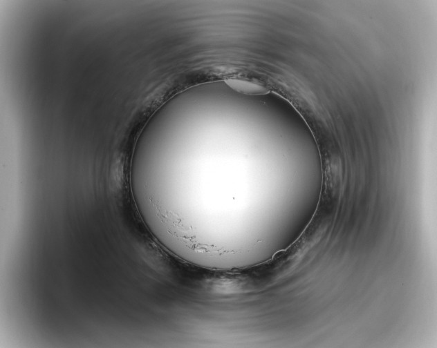 X0000096970412200802221407