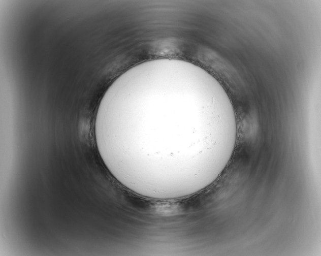 X0000096970415200802221407