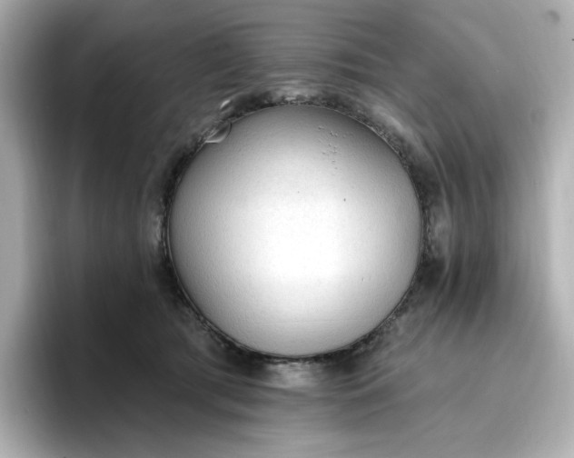 X0000096970417200802221407