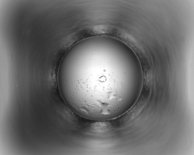 X0000096970418200802221407