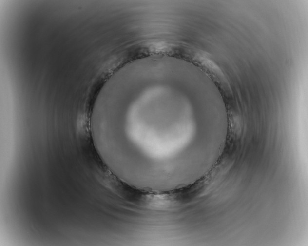 X0000096970419200802221407