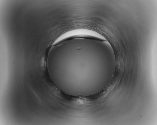 X0000096970420200802221407