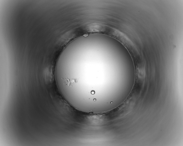 X0000096970422200802221407