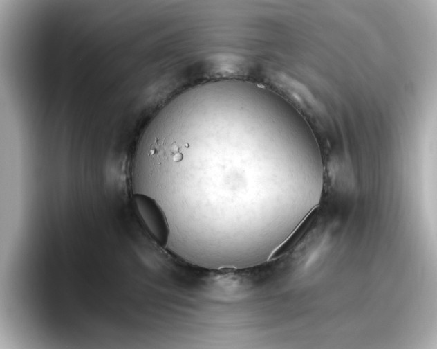 X0000096970423200802221407