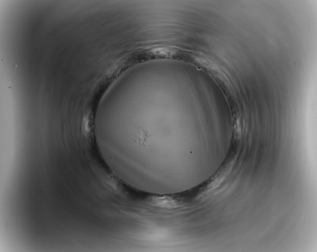 X0000096970424200802221407