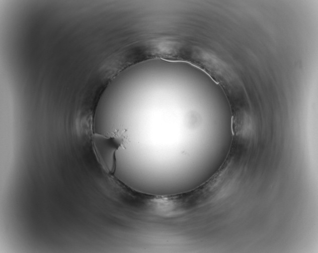 X0000096970425200802221407