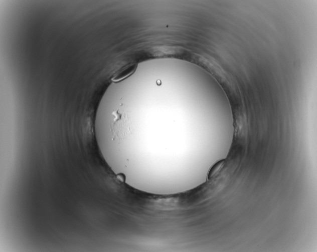 X0000096970426200802221407