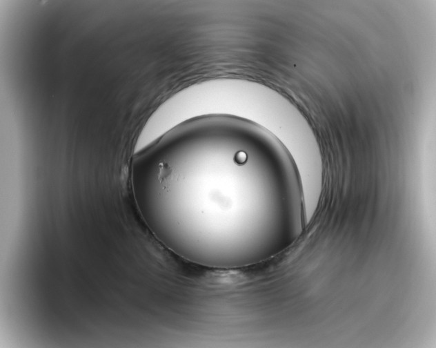 X0000096970427200802221407