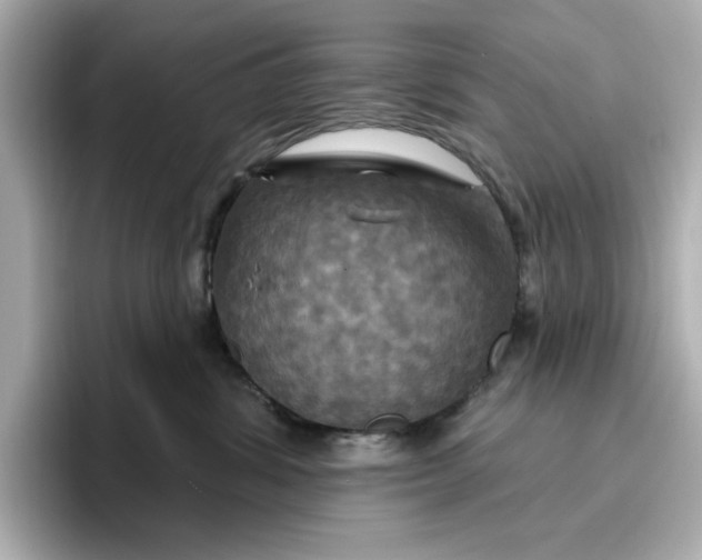 X0000096970428200802221407