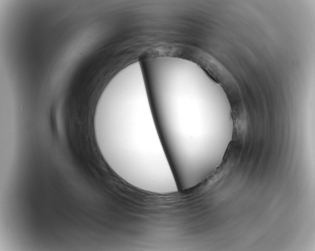 X0000096970429200802221407