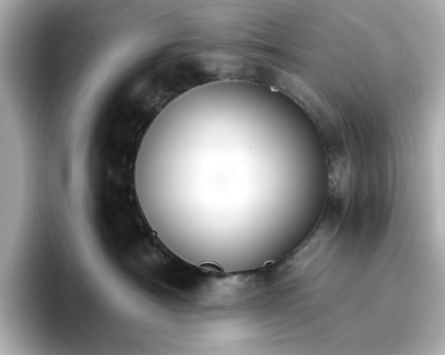 X0000096970430200802221407