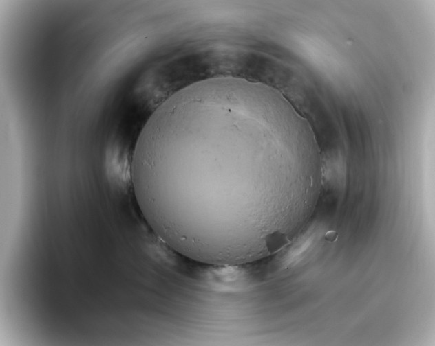 X0000096970431200802221407