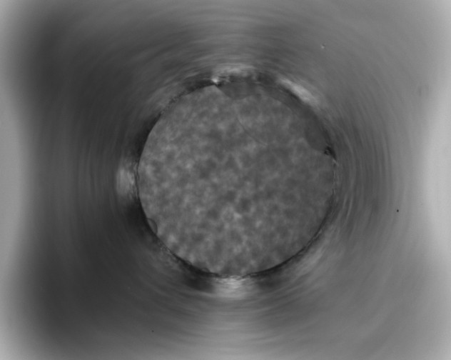 X0000096970432200802221407