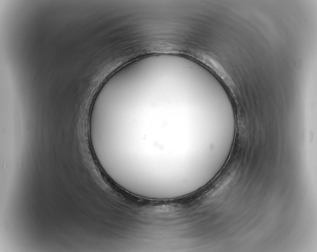 X0000096970433200802221406