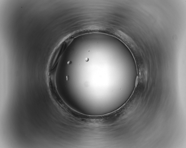 X0000096970436200802221406