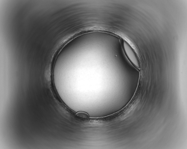 X0000096970437200802221406