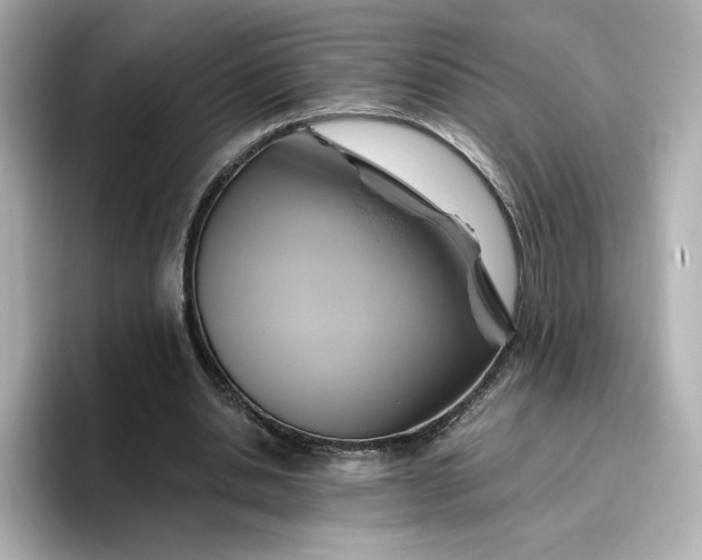 X0000096970438200802221406