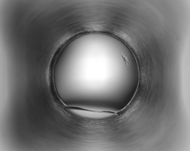 X0000096970439200802221406