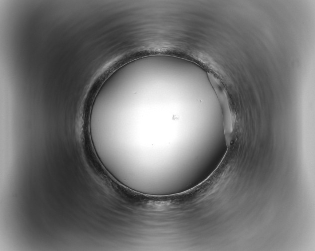 X0000096970440200802221406