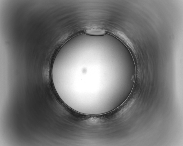 X0000096970441200802221406