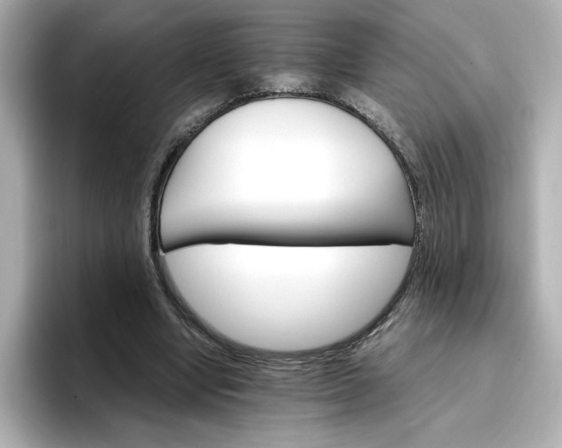 X0000096970442200802221406