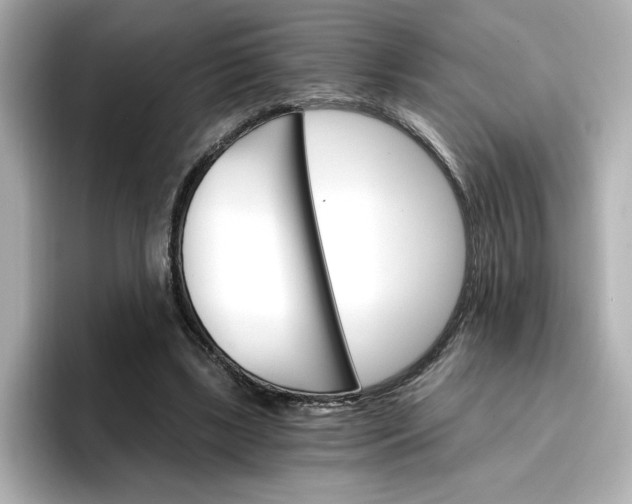 X0000096970443200802221406