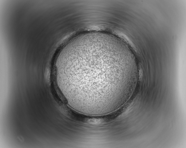 X0000096970444200802221406