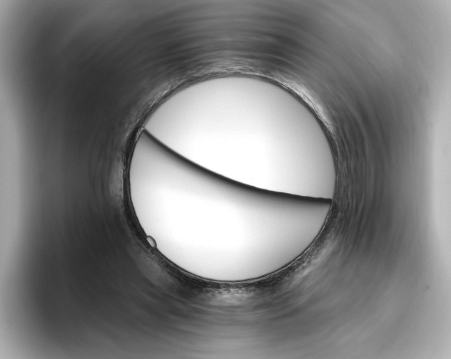 X0000096970445200802221406