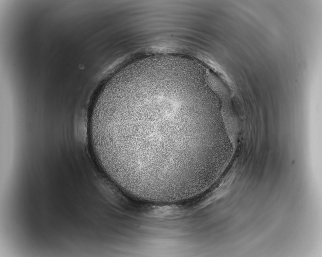 X0000096970446200802221406