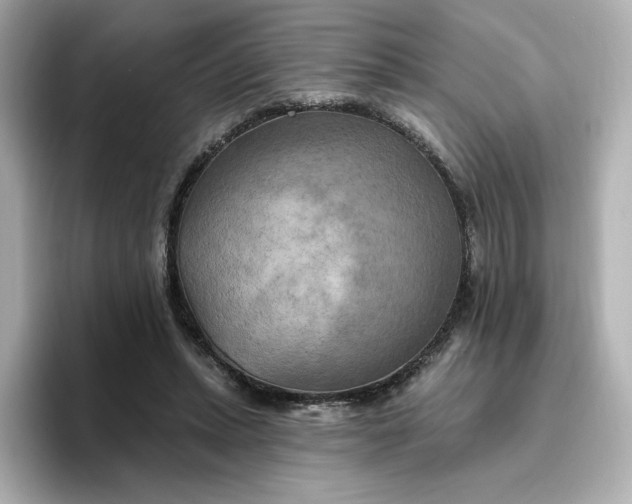 X0000096970447200802221406