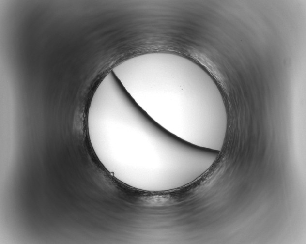 X0000096970449200802221406