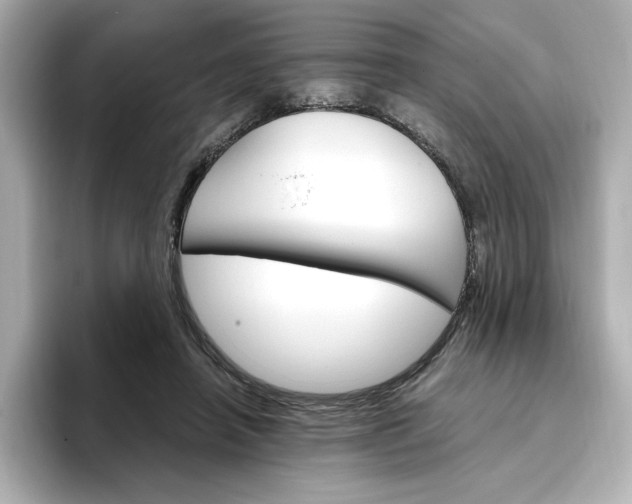 X0000096970450200802221406