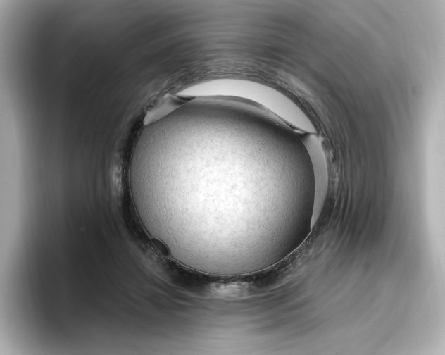 X0000096970452200802221406