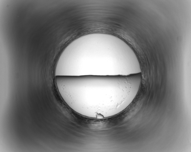 X0000096970454200802221406