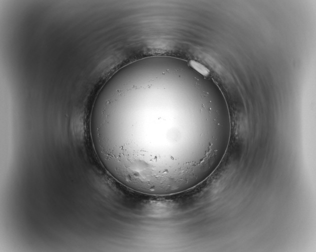 X0000096970455200802221406