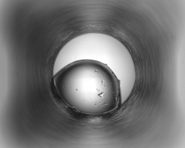 X0000096970456200802221406