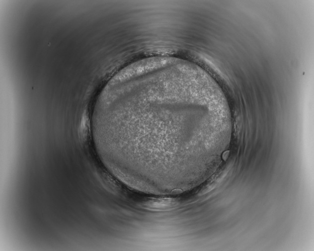 X0000096970459200802221406