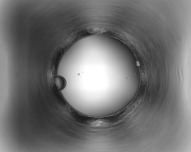 X0000096970460200802221406