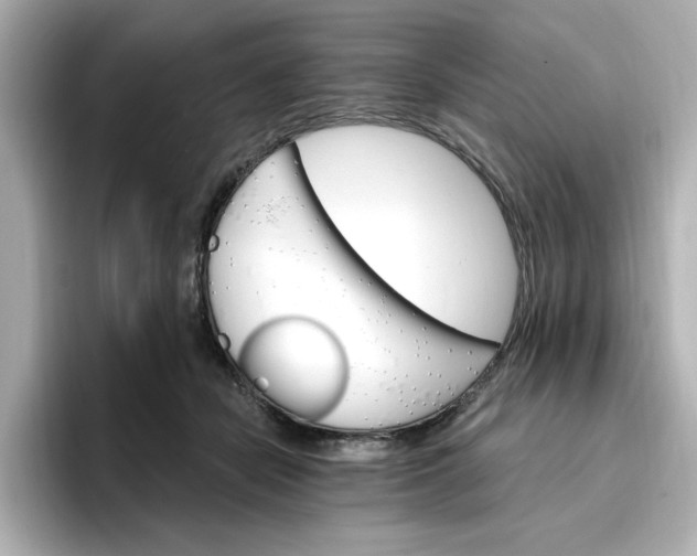 X0000096970462200802221407