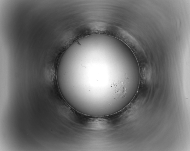 X0000096970463200802221407